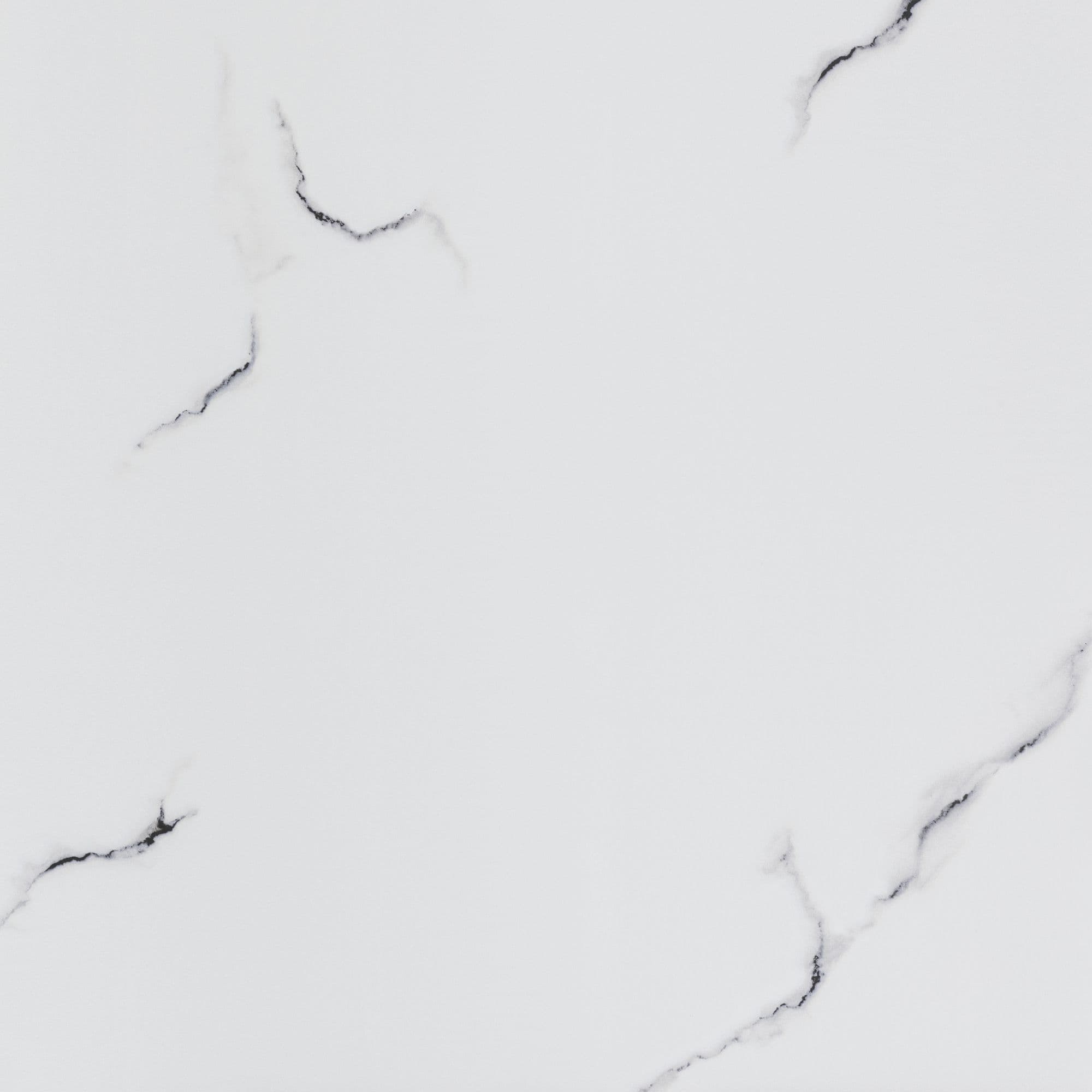 RAK Ceramics Snow White Matt Tile 60x60 image