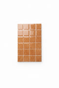 A rectangular sample of glossy square tiles in a warm terracotta orange color, arranged in a grid with light grout lines, shown against a plain white background.